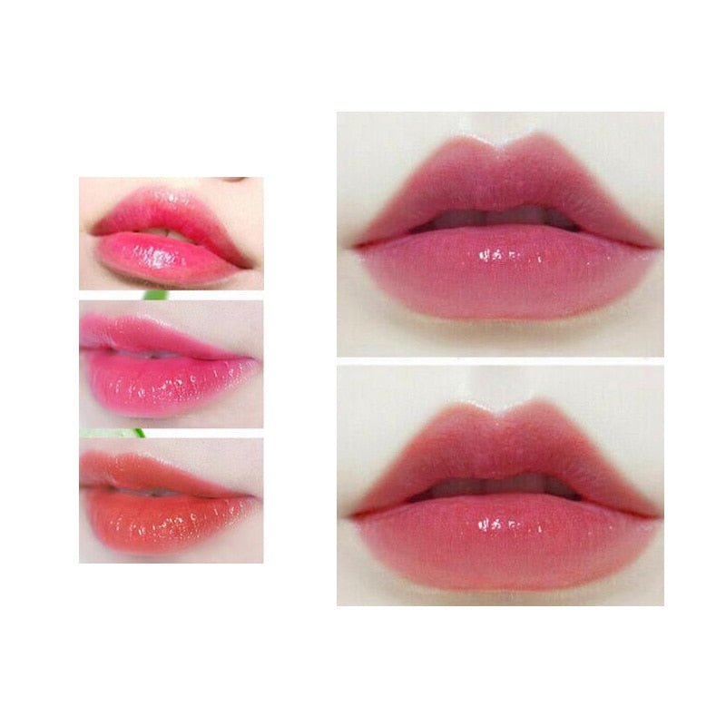 1PC Moisture Aloe Vera Lip Balm