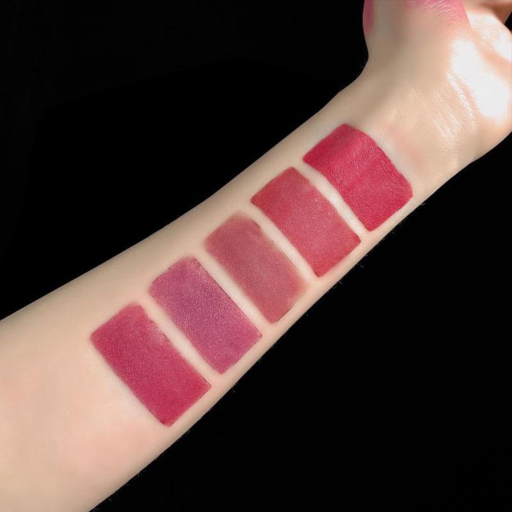 Fit Colors Matte 5-color Lipstick Set