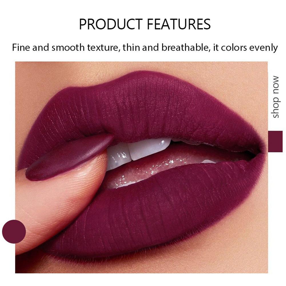 Fit Colors Matte 5-color Lipstick Set