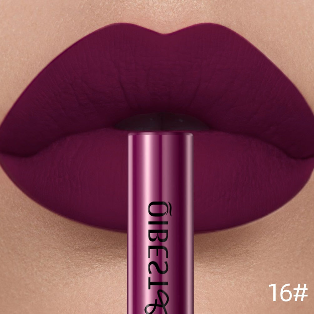 Sexy Long Lasting Velvet Matte Lip Gloss