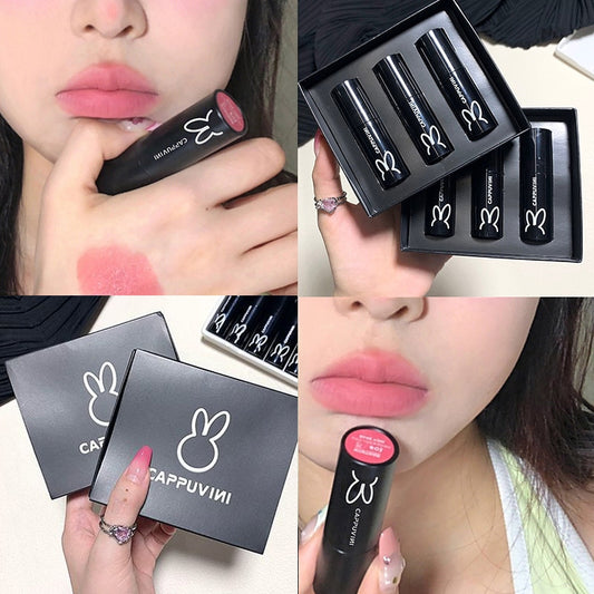 1/3pcs Black Tube Rabbit Matte Pink Brown Lip Gloss