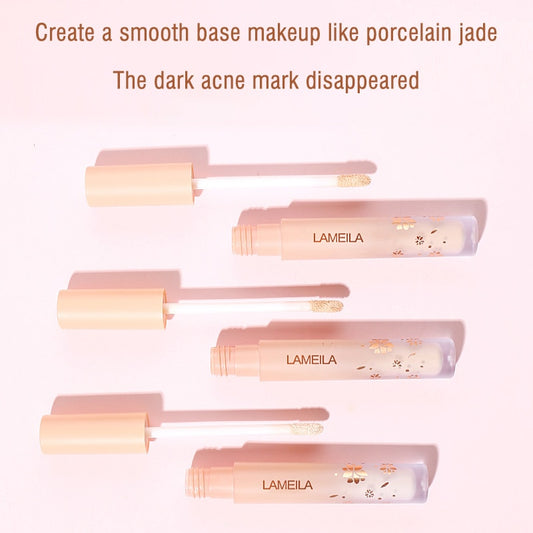 Oil Control  Highlighter Face Makeup