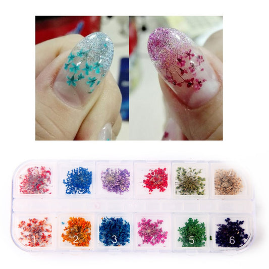 1 Box 12 Color 3D Dried Flower Nail Decoration  Floral Sticker