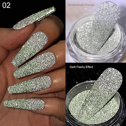 Glitter Powder Silver Glitter Iridescent Flakes Nails