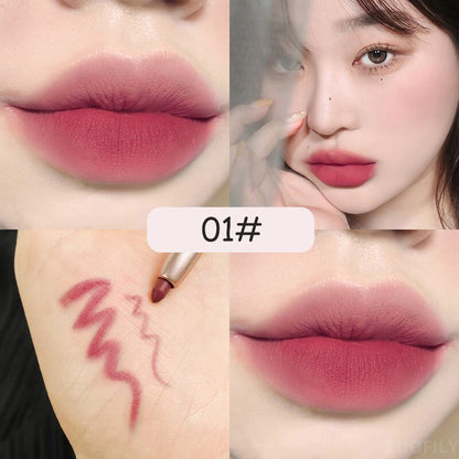 Pretty Matte Lipstick 10 Colors  Lip Makeup Comestics
