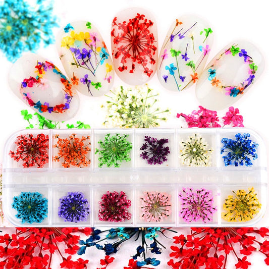 1 Box 12 Color 3D Dried Flower Nail Decoration  Floral Sticker