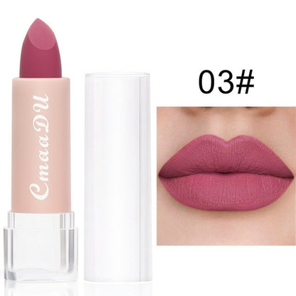 Velvet Matte Lipsticks Waterproof Long Lasting